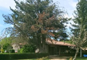 Albergue La Finca
