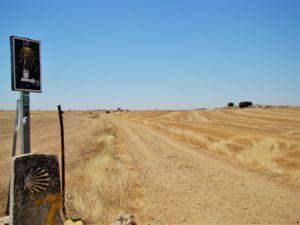 summer fields on the camino near Hontanas Castile-Léon