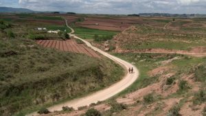 camino de santiago in la rioja