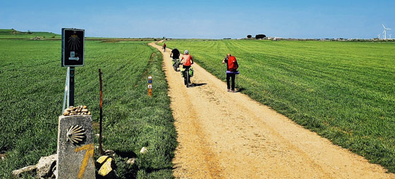 Camino Frances