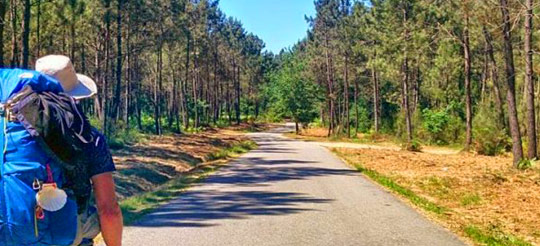Central Portuguese Camino